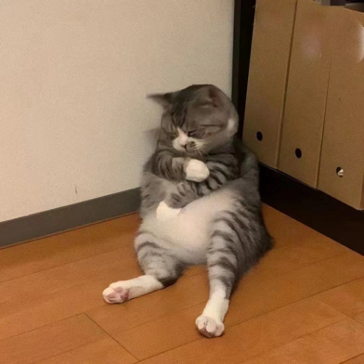 木木掉线了