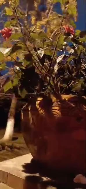 主封面