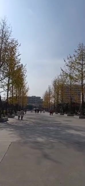 主封面