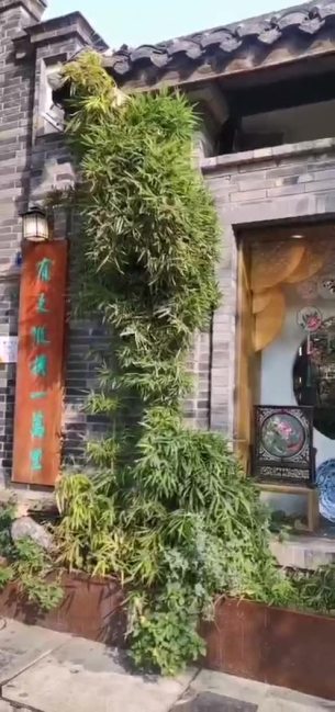 主封面