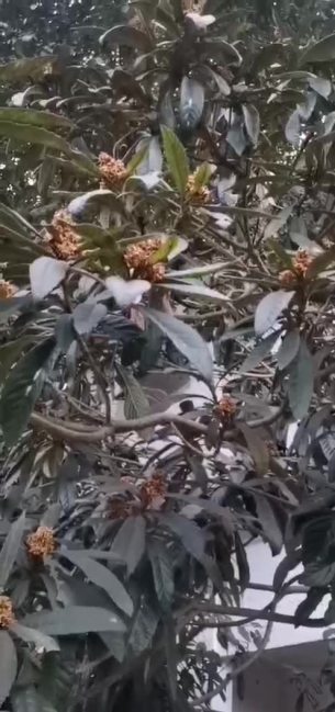 主封面