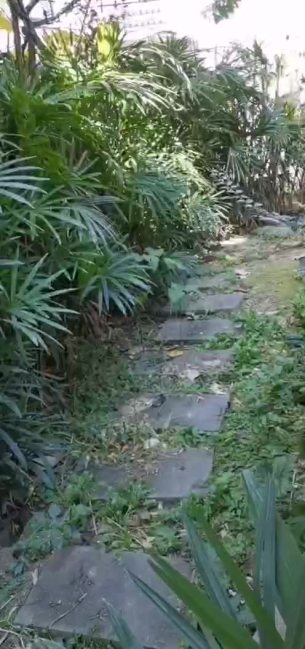 主封面