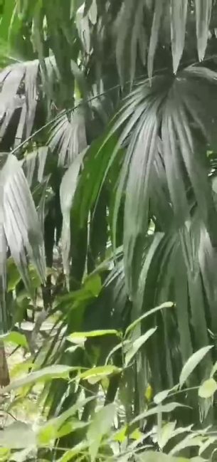 主封面
