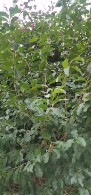 主封面