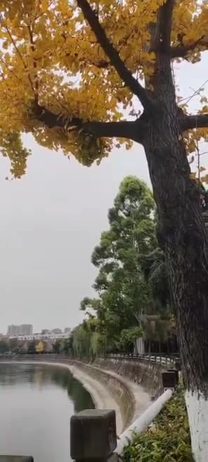 主封面