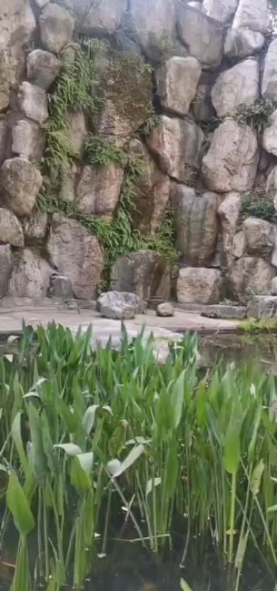主封面