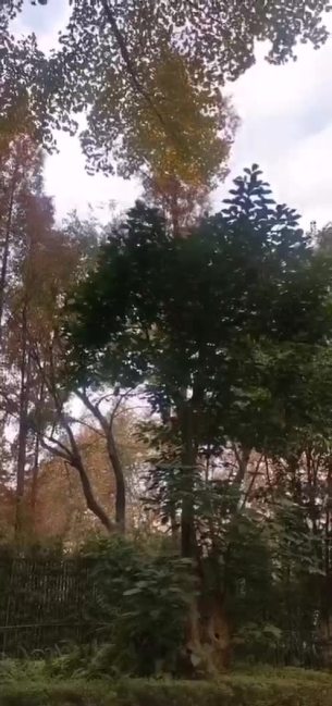 主封面