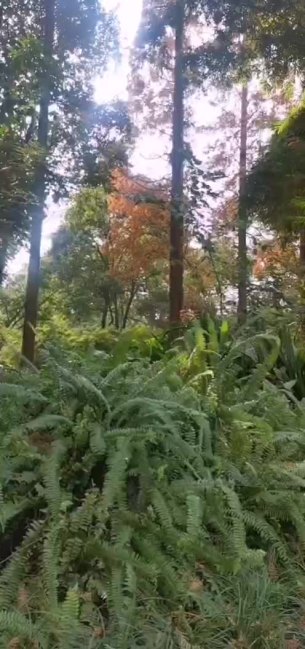 主封面