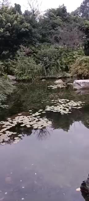 主封面