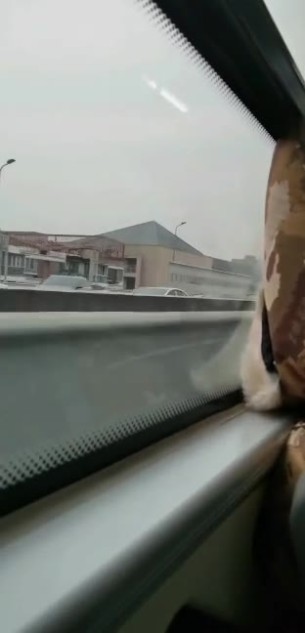 主封面