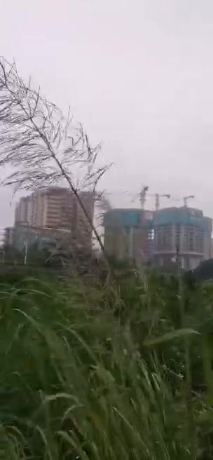 主封面