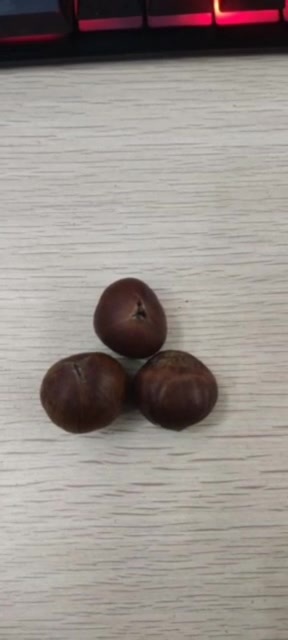 主封面