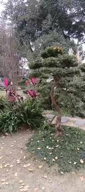 主封面