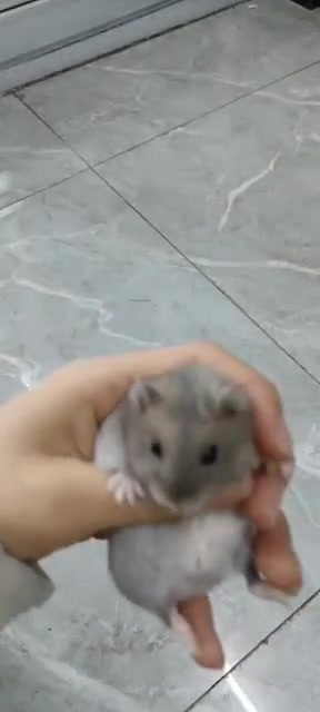 主封面