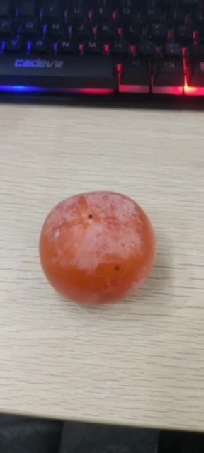 主封面