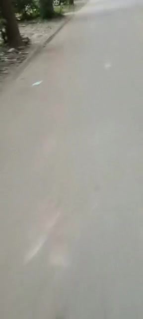 主封面
