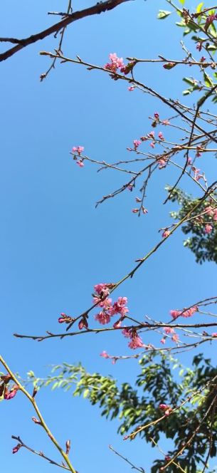 主封面