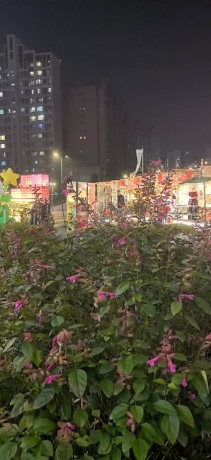 主封面