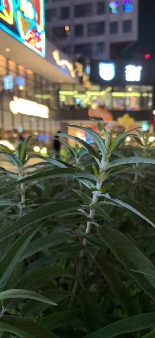 主封面