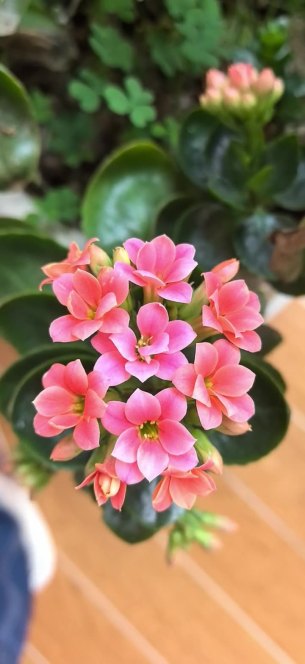 主封面