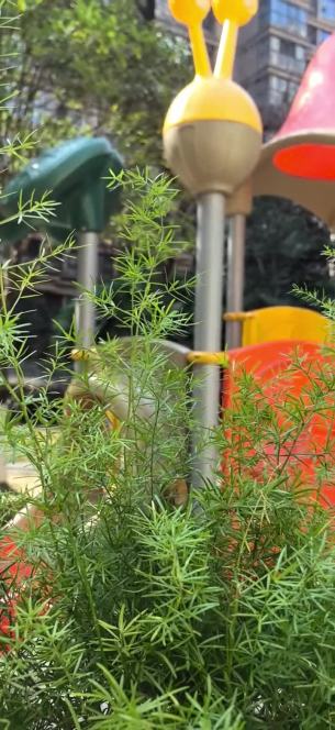 主封面