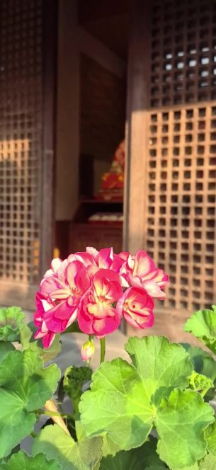主封面