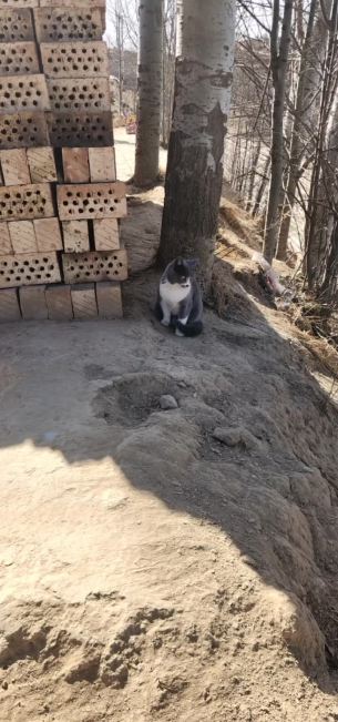 主封面
