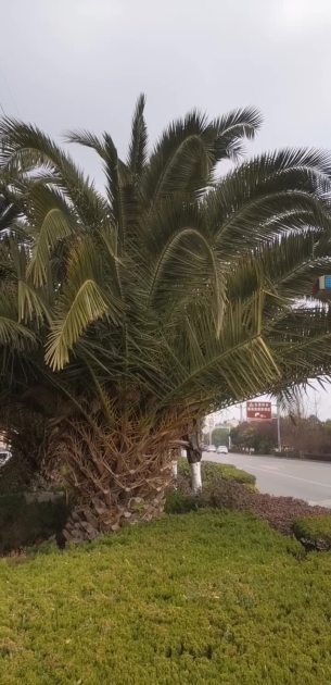 主封面
