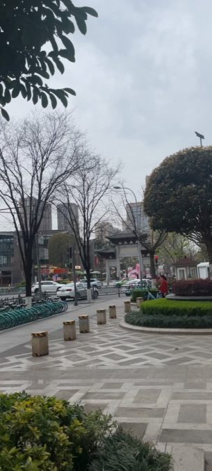 主封面