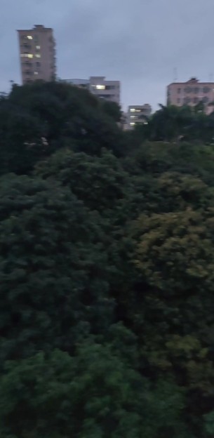 主封面