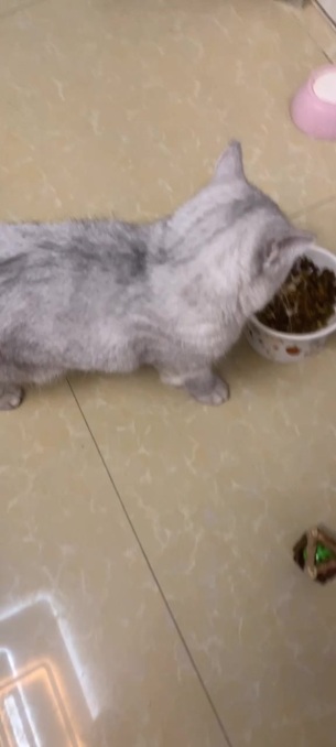 主封面