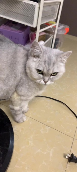 主封面
