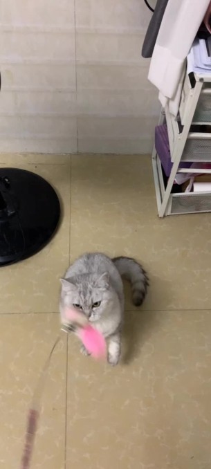 主封面