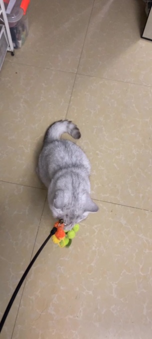 主封面