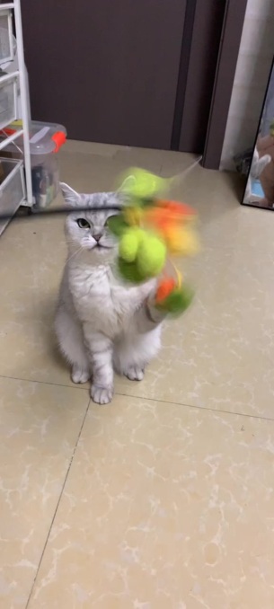 主封面