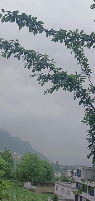 主封面