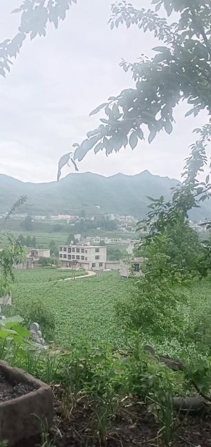 主封面
