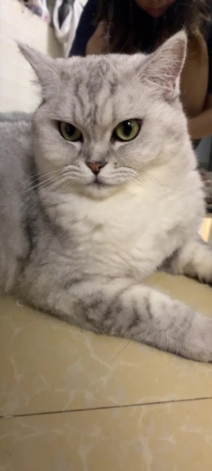 主封面
