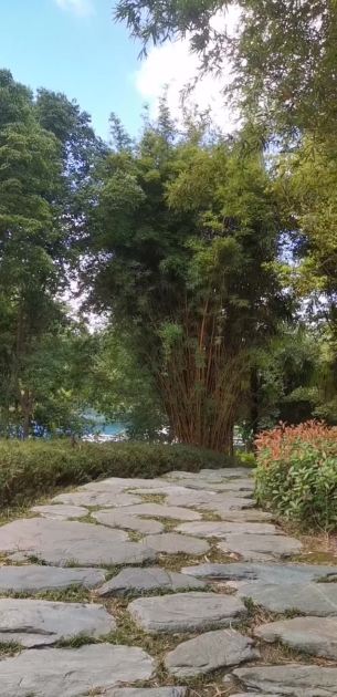主封面