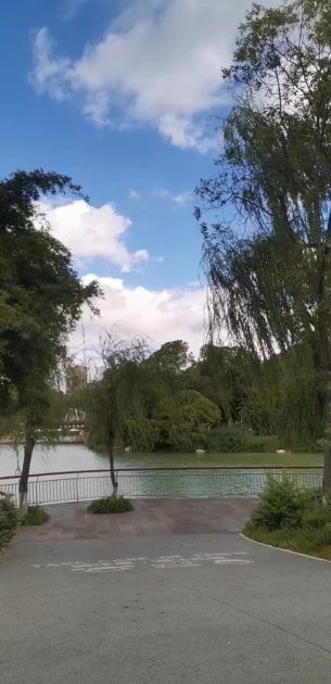 主封面