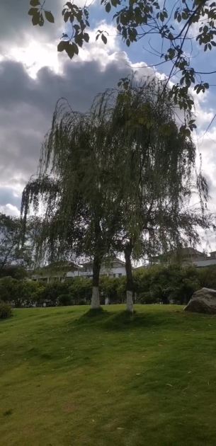 主封面