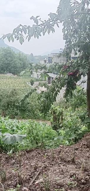 主封面