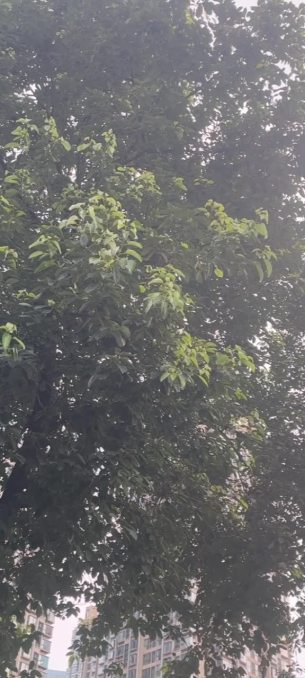 主封面