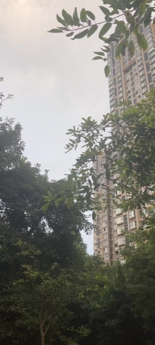 主封面