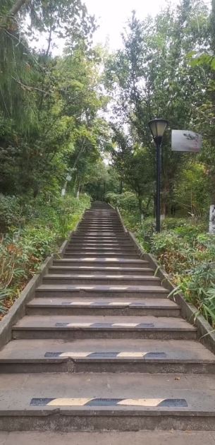 主封面