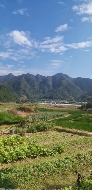 主封面