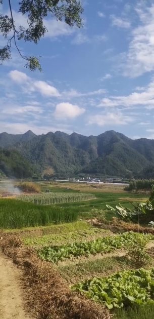 主封面