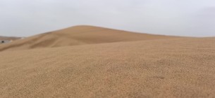 主封面