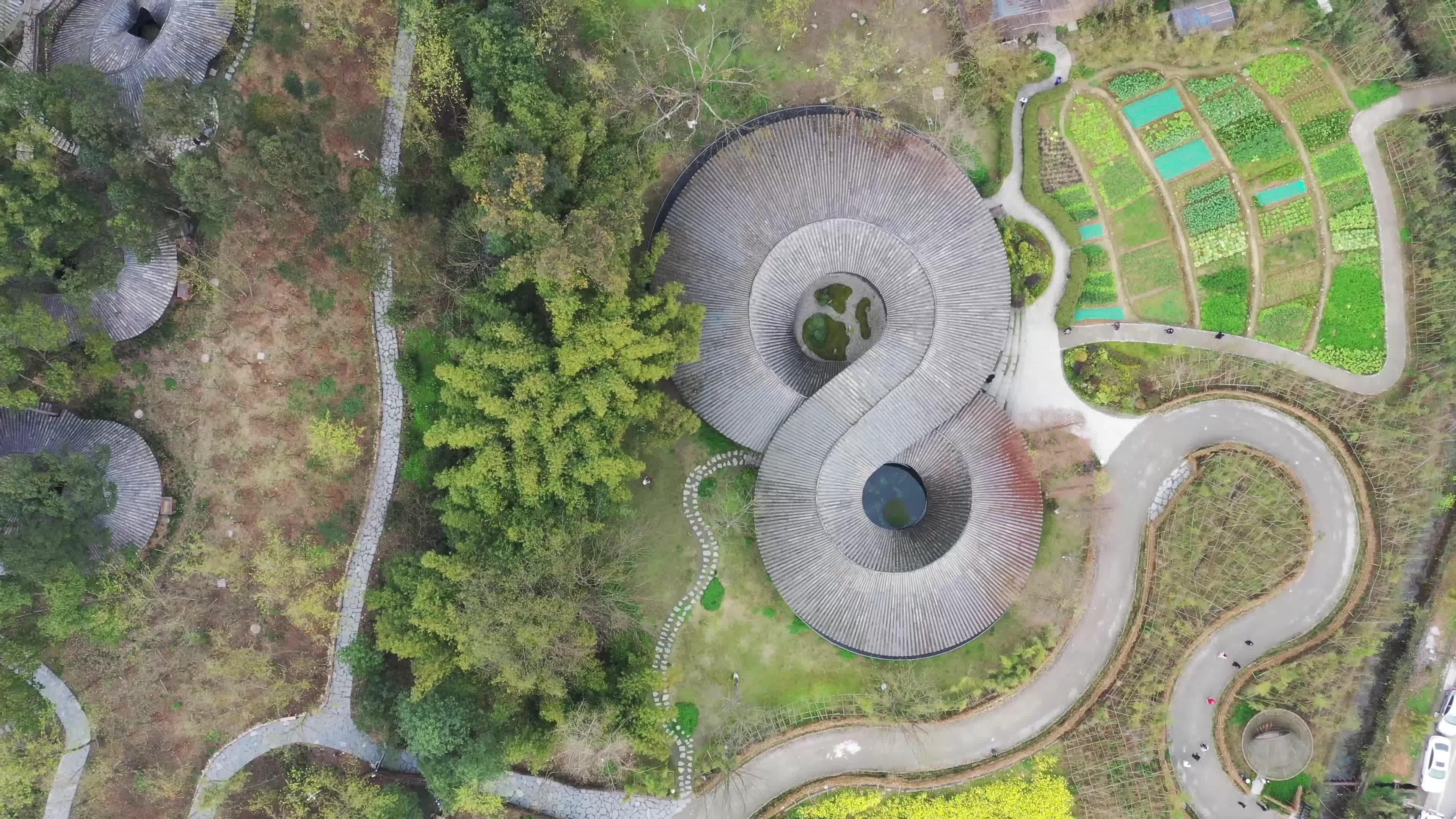 四川崇州悬空拍摄的竹里