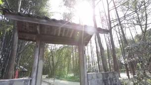 主封面